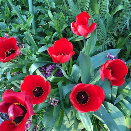 "La Maison De Villars" Au Coeur De La Nature Pressac エクステリア 写真